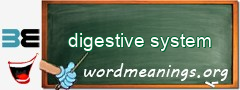 WordMeaning blackboard for digestive system